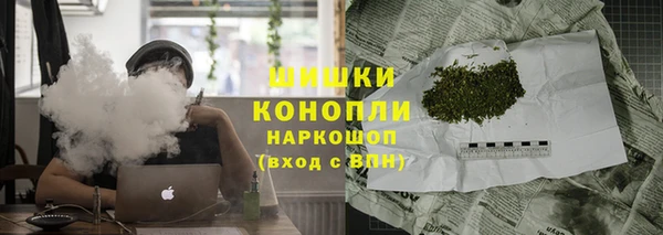 ПСИЛОЦИБИНОВЫЕ ГРИБЫ Вязьма