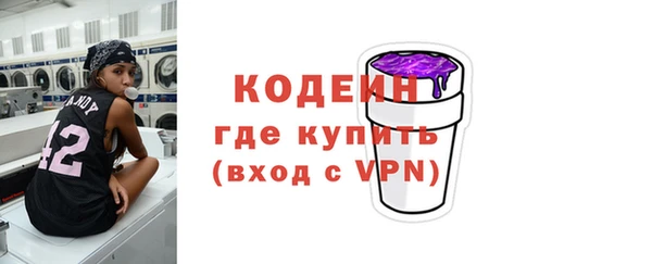 ПСИЛОЦИБИНОВЫЕ ГРИБЫ Вязьма