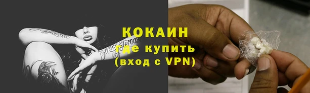 ПСИЛОЦИБИНОВЫЕ ГРИБЫ Вязьма