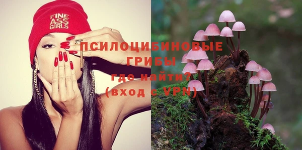 МДПВ Горняк