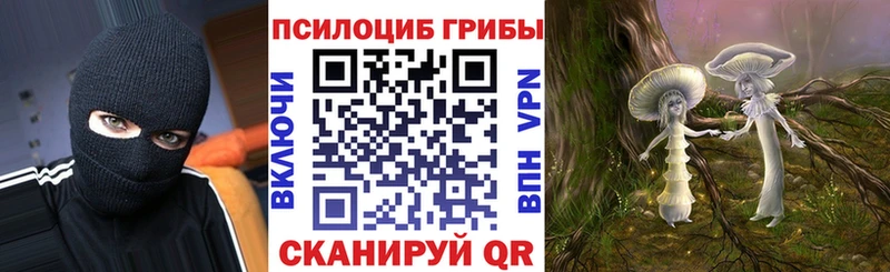 Псилоцибиновые грибы GOLDEN TEACHER  Западная Двина 